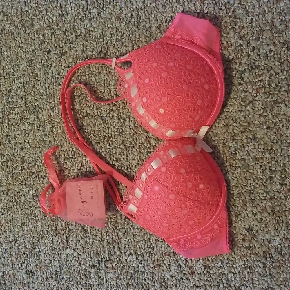 VS Sexy Little Things Gorgeous Push-Up Bra with extra straps